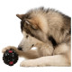 Trespass Μπάλα σκύλου Einstein Dog Reward Ball